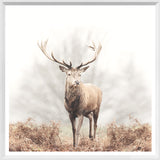 Mod. Farm - Red Deer Stag - Mini White