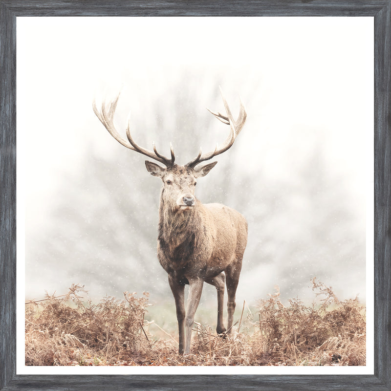 Mod. Farm - Red Deer Stag - Mini Grey