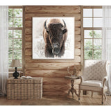 Bison in the Tetons