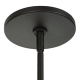 Reins 4 Lt Chandelier