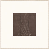 FLEETING MOMENT IV - Matted