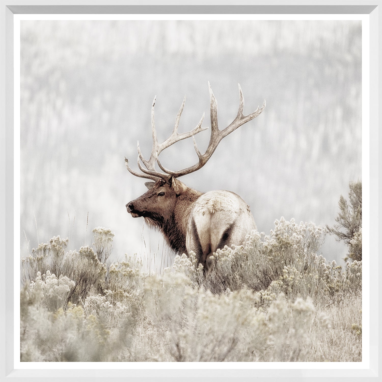 Rocky Mountain Elk - Mini – MYHome Furniture