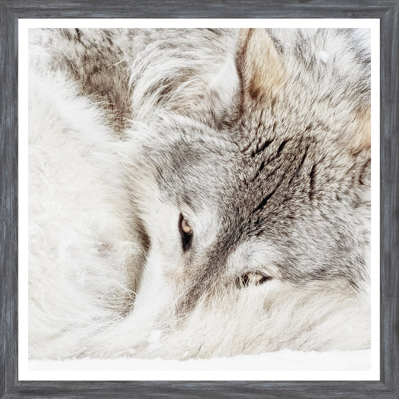 Grey Wolf - Mini