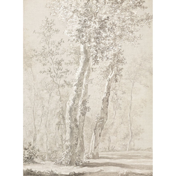 Sunlit Trees C. 1822