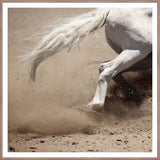 Barrel Racing I - Small