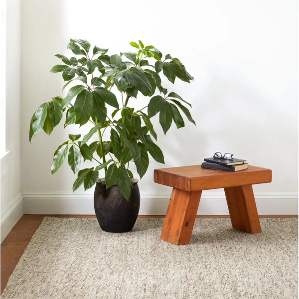 AS - Loggia Natural Rug