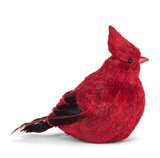 Holiday - Sitting Cardinal