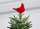 Holiday - Cardinal Tree Topper