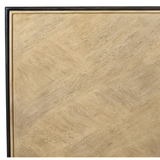 Reina 2 Door Cabinet