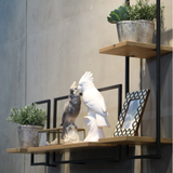 D-Bodhi Metal Frame Wall Box - Type C