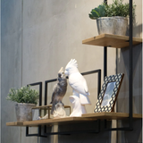 D-Bodhi Metal Frame Wall Box - Type D