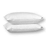 Snowbird Soft-Touch Pillow