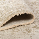 Artistry Soft indoor Rug II