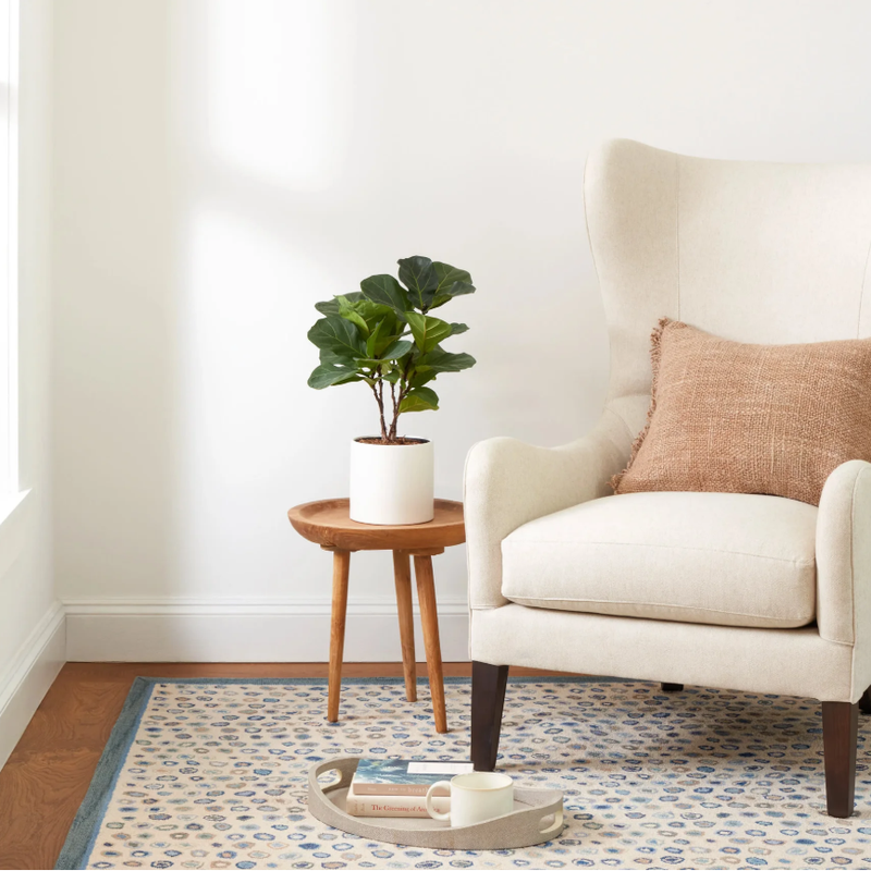 Cat's Paw Mineral Wool Rug