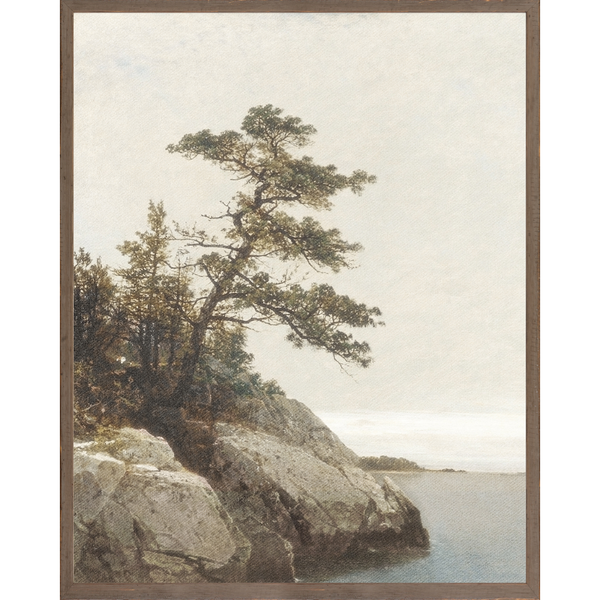 Northern Collection – The Old Pine C. 1872