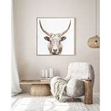 Watusi - Large