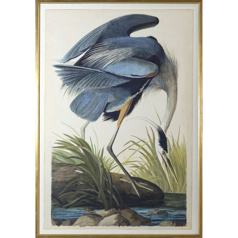 Blue Heron - Framed
