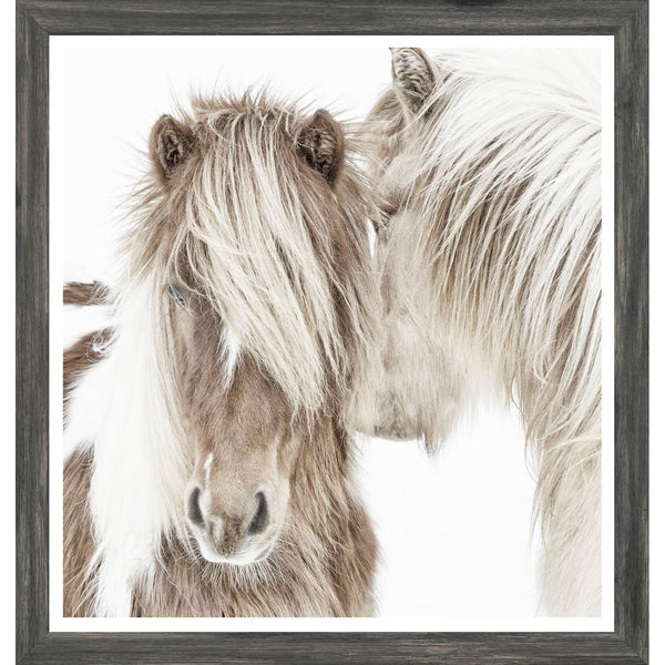 Icelandic Ponies - Mini - Grey