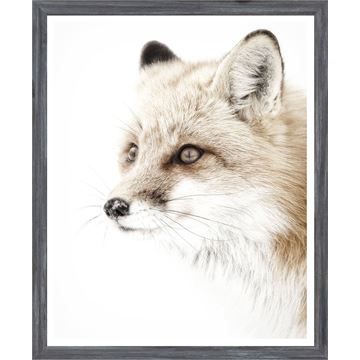 Mod. Farm - Red Fox - Mini Grey