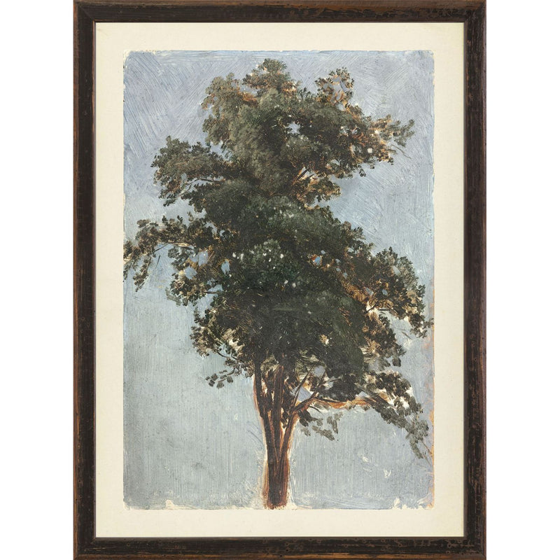 COLLECTION VINTAGE - TREE STUDY, 1855 - SMALL