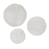 Sand Dollar Large